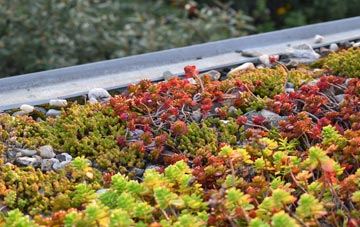the cost of Hobson green roof installation