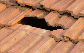 roof repair Hobson, County Durham